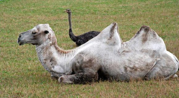 Вінницький зоопарк з наступного місяця змінить графік роботи, фото №2 на сайті 20minut.ua