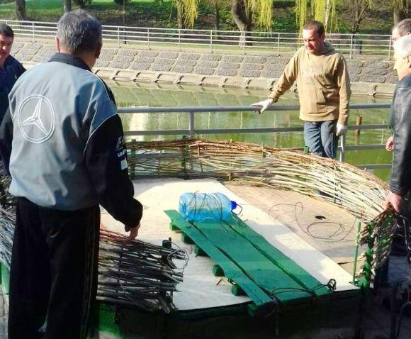 Новини Вінниці - фото з Лебеді Руслан і Людмила повернулися на озеро у парку. А де маленькі лебеденята? Лебеді Руслан і Людмила повернулися на озеро у парку. А де маленькі лебеденята?, фото №2 на сайті 20minut.ua