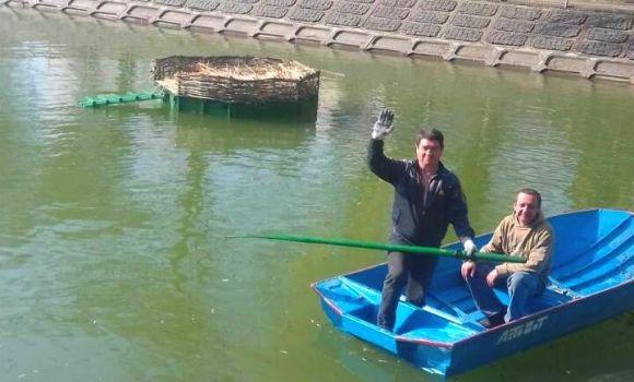 Новини Вінниці - фото з Лебеді Руслан і Людмила повернулися на озеро у парку. А де маленькі лебеденята? Лебеді Руслан і Людмила повернулися на озеро у парку. А де маленькі лебеденята?, фото №1 на сайті 20minut.ua