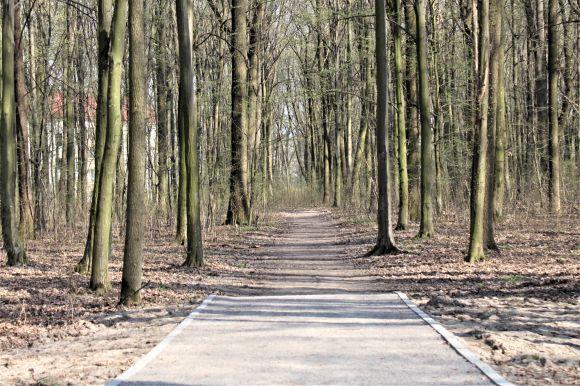 Новини Вінниці - фото з У Лісопарку зроблять нові доріжки і розширятимуть зону відпочинку до церкви У Лісопарку зроблять нові доріжки і розширятимуть зону відпочинку до церкви, фото №5 на сайті 20minut.ua