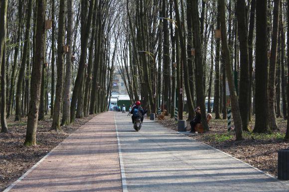 Новини Вінниці - фото з У Лісопарку зроблять нові доріжки і розширятимуть зону відпочинку до церкви У Лісопарку зроблять нові доріжки і розширятимуть зону відпочинку до церкви, фото №4 на сайті 20minut.ua