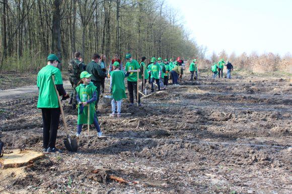 Як школярі сіяли дуби і горіхи, з яких колись має вирости ліс, фото №2 на сайті 20minut.ua