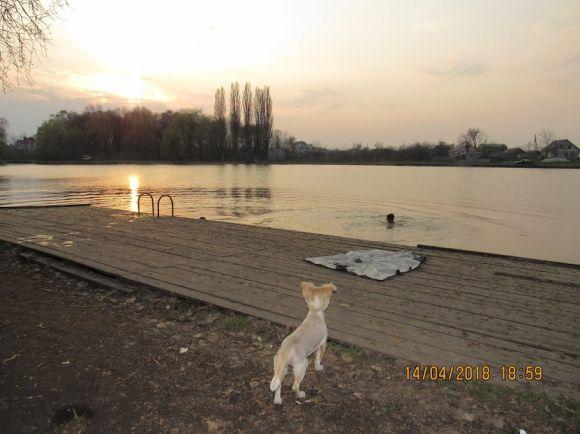 Новини Козятина - фото з Тримаючись на поверхні води: Козятин вже купається Тримаючись на поверхні води: Козятин вже купається, фото №6 на сайті 20minut.ua