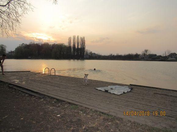 Новини Козятина - фото з Тримаючись на поверхні води: Козятин вже купається Тримаючись на поверхні води: Козятин вже купається, фото №7 на сайті 20minut.ua