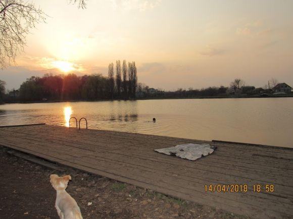 Новини Козятина - фото з Тримаючись на поверхні води: Козятин вже купається Тримаючись на поверхні води: Козятин вже купається, фото №4 на сайті 20minut.ua
