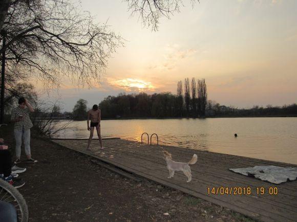 Новини Козятина - фото з Тримаючись на поверхні води: Козятин вже купається Тримаючись на поверхні води: Козятин вже купається, фото №8 на сайті 20minut.ua