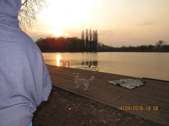 Новини Козятина - фото з Тримаючись на поверхні води: Козятин вже купається Тримаючись на поверхні води: Козятин вже купається, фото №3 на сайті 20minut.ua