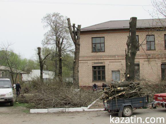 Новини Козятина - фото з Нищівно вирізали парк залізничників (оновлено) Нищівно вирізали парк залізничників (оновлено), фото №4 на сайті 20minut.ua