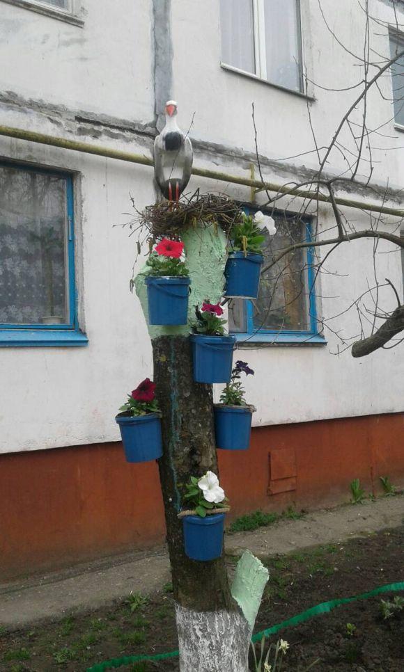 Новини Житомира - фото з Житомирські ОСББ активно долучаються до загальноміської толоки Житомирські ОСББ активно долучаються до загальноміської толоки, фото №2 на сайті 20minut.ua