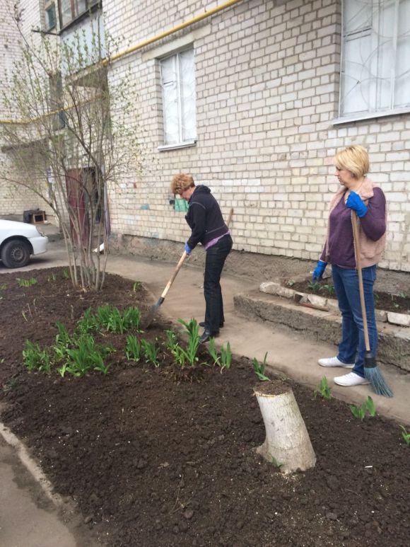 Новини Житомира - фото з Житомирські ОСББ активно долучаються до загальноміської толоки Житомирські ОСББ активно долучаються до загальноміської толоки, фото №1 на сайті 20minut.ua