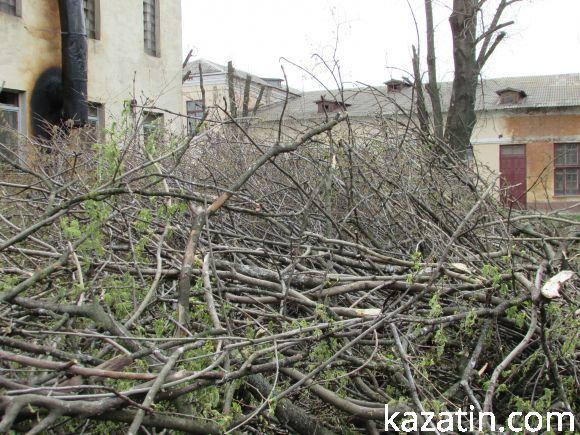 Новини Козятина - фото з Нищівно вирізали парк залізничників (оновлено) Нищівно вирізали парк залізничників (оновлено), фото №5 на сайті 20minut.ua
