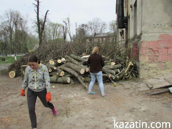 Новини Козятина - фото з Нищівно вирізали парк залізничників (оновлено) Нищівно вирізали парк залізничників (оновлено), фото №1 на сайті 20minut.ua