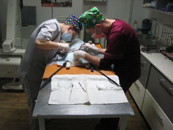 Новини Вінниці - фото з Дають до 1 мільйона на ідею. Триває відбір проектів на «Бюджет громадських ініціатив-2019» Дають до 1 мільйона на ідею. Триває відбір проектів на «Бюджет громадських ініціатив-2019», фото №4 на сайті 20minut.ua