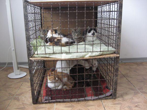 Новини Вінниці - фото з Дають до 1 мільйона на ідею. Триває відбір проектів на «Бюджет громадських ініціатив-2019» Дають до 1 мільйона на ідею. Триває відбір проектів на «Бюджет громадських ініціатив-2019», фото №5 на сайті 20minut.ua