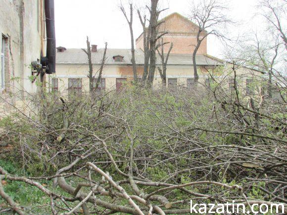Новини Козятина - фото з Нищівно вирізали парк залізничників (оновлено) Нищівно вирізали парк залізничників (оновлено), фото №7 на сайті 20minut.ua