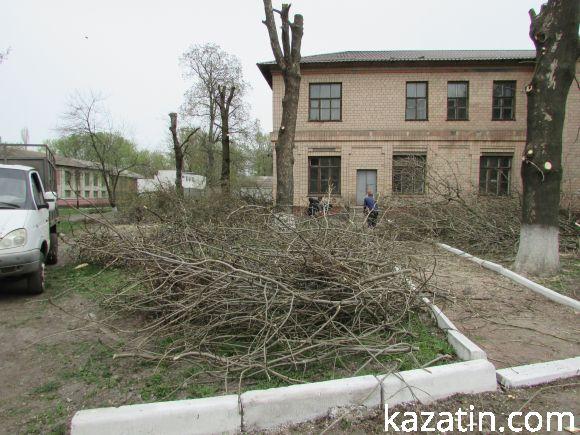 Новини Козятина - фото з Нищівно вирізали парк залізничників (оновлено) Нищівно вирізали парк залізничників (оновлено), фото №2 на сайті 20minut.ua