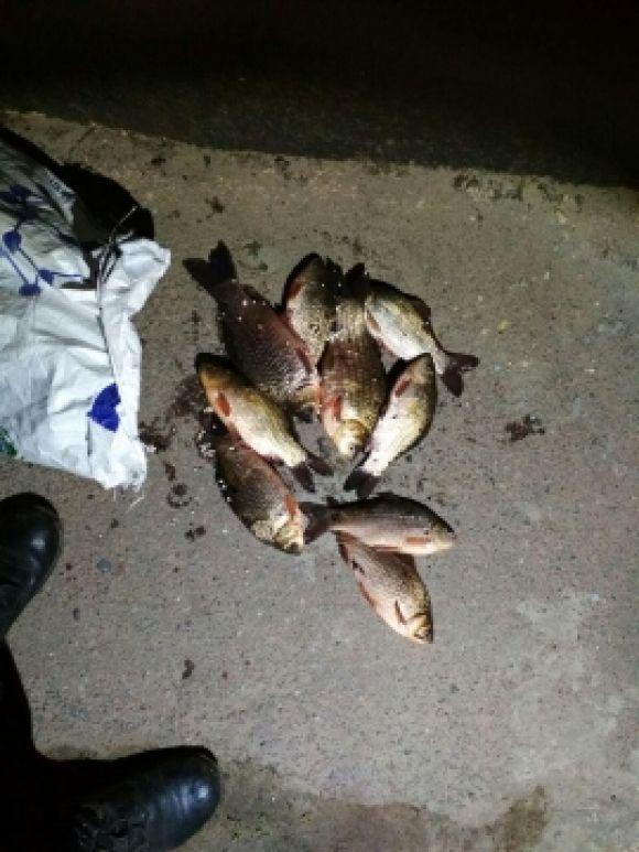 Житомирський рибоохоронний патруль зафіксував 94 порушення за 15 днів нересту, фото №1 на сайті 20minut.ua