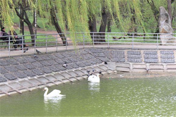 Новини Вінниці - фото з Реконструкція входу до парку Горького коштує 17,4 мільйона гривень. Що там буде? Реконструкція входу до парку Горького коштує 17,4 мільйона гривень. Що там буде?, фото №2 на сайті 20minut.ua