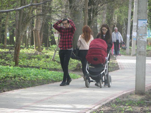 В парку Чекмана зроблять пішохідну доріжку за 1,5 мільйона. Як вона проходитиме, фото №1 на сайті vsim.ua