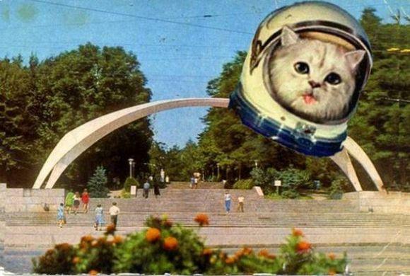 Новини Вінниці - фото з Реконструкція входу до парку Горького коштує 17,4 мільйона гривень. Що там буде? Реконструкція входу до парку Горького коштує 17,4 мільйона гривень. Що там буде?, фото №4 на сайті 20minut.ua