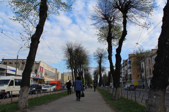 Новини Вінниці - фото з Сакури, велодоріжка і нові дороги. Якою буде Замостянська після реконструкції Сакури, велодоріжка і нові дороги. Якою буде Замостянська після реконструкції, фото №1 на сайті 20minut.ua