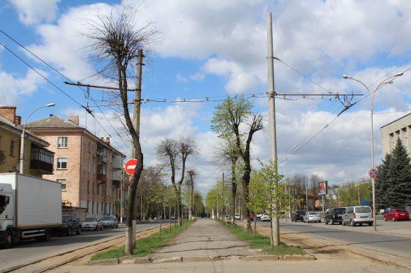 Новини Вінниці - фото з Зміни Замостянської: старі дерева знесуть, а нові посадять (ОПИТУВАННЯ) Зміни Замостянської: старі дерева знесуть, а нові посадять (ОПИТУВАННЯ), фото №1 на сайті 20minut.ua