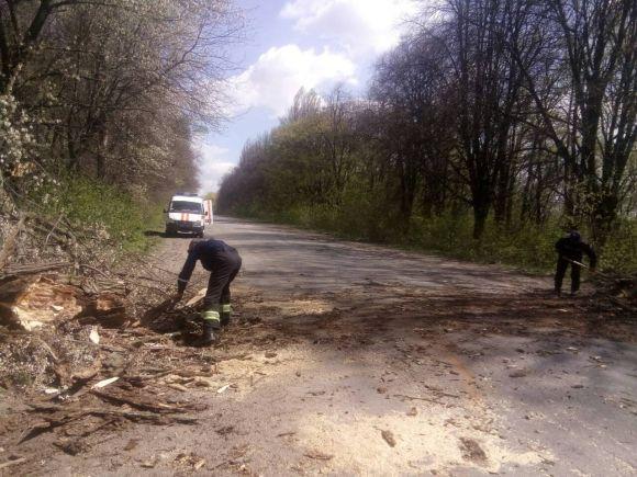 Весняний буревій: 17 повалених дерев. Якого ще лиха наробила погода?, фото №4 на сайті 20minut.ua