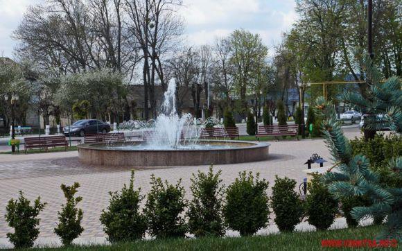 Новини Козятина - фото з Люди просять показати Пузирю, як потрібно працювати Люди просять показати Пузирю, як потрібно працювати, фото №2 на сайті 20minut.ua