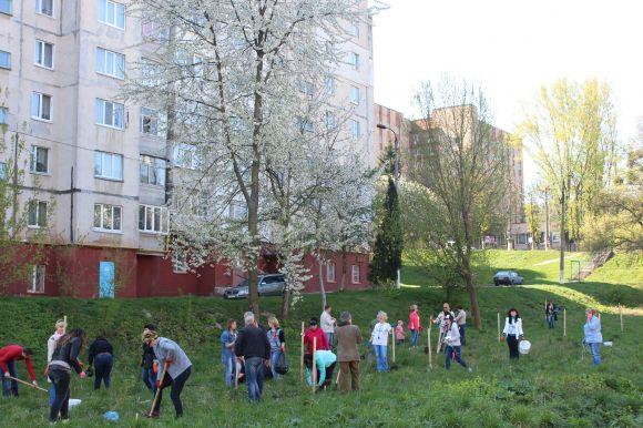 Чиновники взялись за лопати і висадили 150 дерев на Інститутській, фото №1 на сайті vsim.ua
