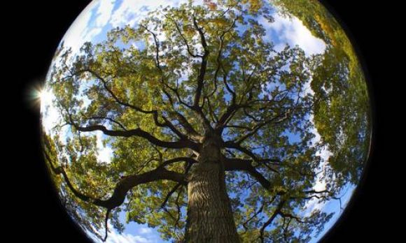 Новини Козятина - фото з 22 квітня – Міжнародний день Землі 22 квітня – Міжнародний день Землі, фото №1 на сайті 20minut.ua