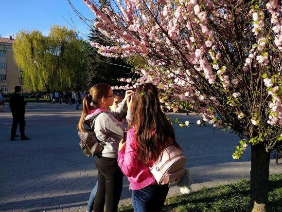 Новини Тернополя - фото з Фото дня: біля сакури на Майдані Волі тернополянки проводять фотосесії Фото дня: біля сакури на Майдані Волі тернополянки проводять фотосесії, фото №2 на сайті 20minut.ua