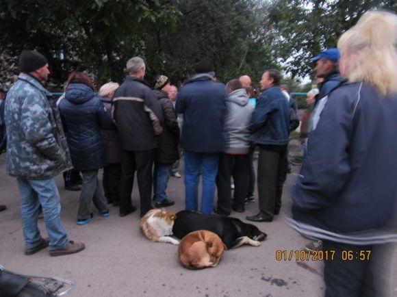 Новини Козятина - фото з Мафіка затоптали. Він не став мафією лише мафіком Мафіка затоптали. Він не став мафією лише мафіком, фото №1 на сайті 20minut.ua