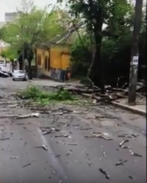 Вінниця 26 квітня: діти на даху, потрійна ДТП та впале дерево, фото №2 на сайті 20minut.ua