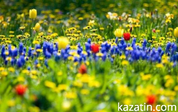 Що будете робити 1 травня? на сайті 20minut.ua Що будете робити 1 травня?, фото №9 на сайті 20minut.ua