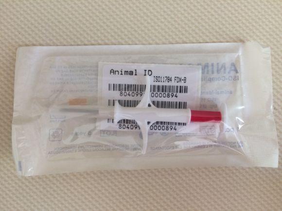 Новини Вінниці - фото з Що потрібно знати для подорожі зі своїм домашнім улюбленцем закордон і Україною? Так виглядає чіп та інструмент його введення, до процедури