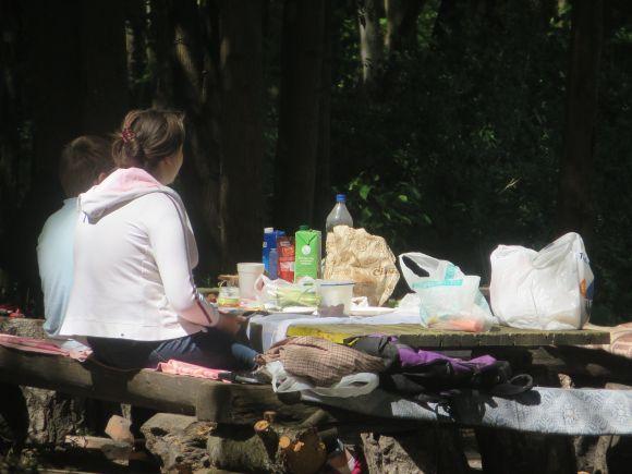 Всі на пікнік: хмельничани вибрались у Дендропарк на шашлики, фото №11 на сайті vsim.ua