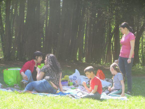 Всі на пікнік: хмельничани вибрались у Дендропарк на шашлики, фото №10 на сайті vsim.ua