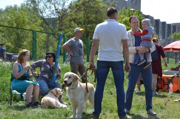 Новини Хмельницького - фото з Виставка собак у Хмельницькому: які породи представили Виставка собак у Хмельницькому: які породи представили, фото №33 на сайті vsim.ua