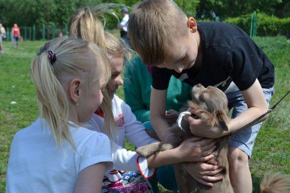 Новини Хмельницького - фото з Виставка собак у Хмельницькому: які породи представили Виставка собак у Хмельницькому: які породи представили, фото №3 на сайті vsim.ua