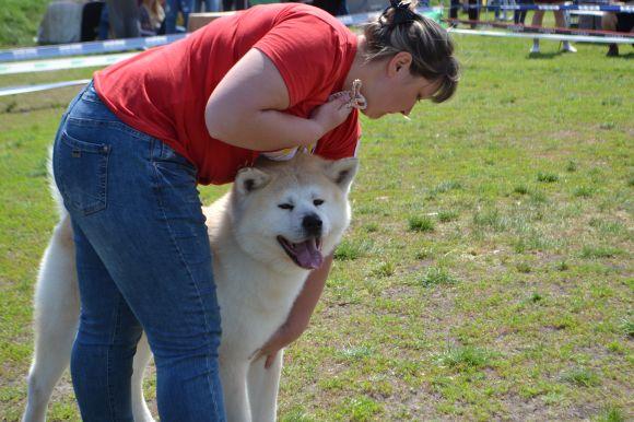 Новини Хмельницького - фото з Виставка собак у Хмельницькому: які породи представили Виставка собак у Хмельницькому: які породи представили, фото №14 на сайті vsim.ua