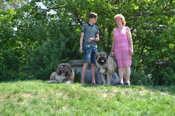 Новини Хмельницького - фото з Виставка собак у Хмельницькому: які породи представили Виставка собак у Хмельницькому: які породи представили, фото №28 на сайті vsim.ua