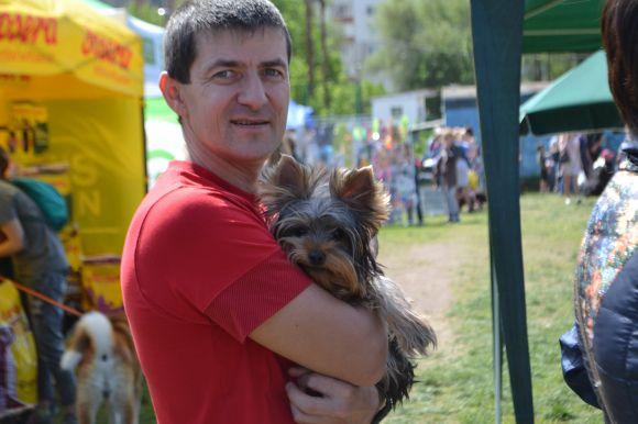 Новини Хмельницького - фото з Виставка собак у Хмельницькому: які породи представили Виставка собак у Хмельницькому: які породи представили, фото №1 на сайті vsim.ua