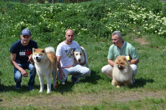 Новини Хмельницького - фото з Виставка собак у Хмельницькому: які породи представили Виставка собак у Хмельницькому: які породи представили, фото №27 на сайті vsim.ua