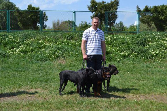 Новини Хмельницького - фото з Виставка собак у Хмельницькому: які породи представили Виставка собак у Хмельницькому: які породи представили, фото №25 на сайті vsim.ua