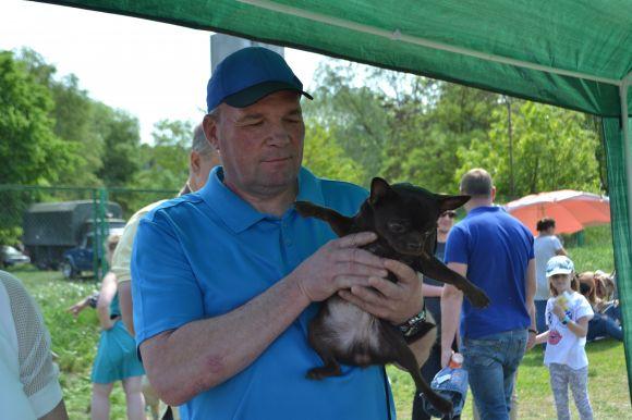 Новини Хмельницького - фото з Виставка собак у Хмельницькому: які породи представили Виставка собак у Хмельницькому: які породи представили, фото №18 на сайті vsim.ua