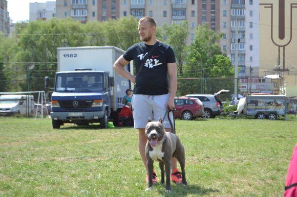 Новини Хмельницького - фото з Виставка собак у Хмельницькому: які породи представили Виставка собак у Хмельницькому: які породи представили, фото №31 на сайті vsim.ua