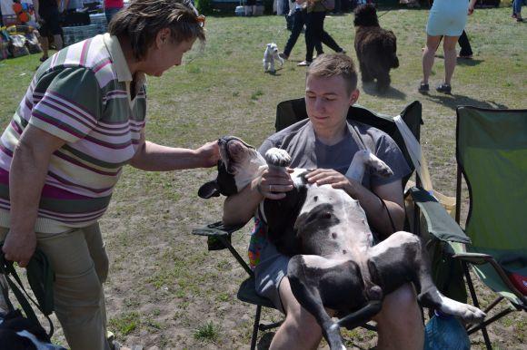 Новини Хмельницького - фото з Виставка собак у Хмельницькому: які породи представили Виставка собак у Хмельницькому: які породи представили, фото №17 на сайті vsim.ua