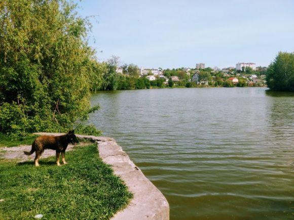 Новини Хмельницького - фото з Подорож вихідного дня. Що подивитися у Красилові Подорож вихідного дня. Що подивитися у Красилові, фото №15 на сайті vsim.ua