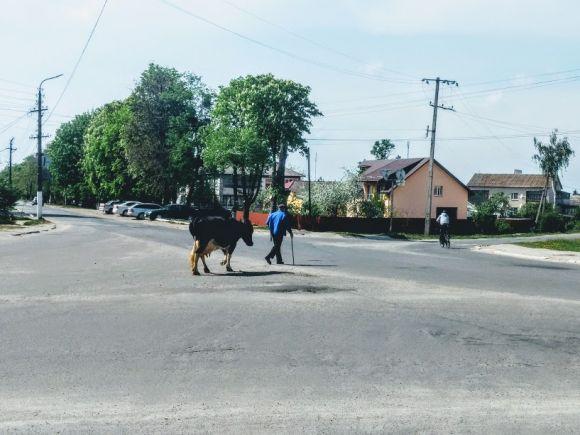 Новини Хмельницького - фото з Подорож вихідного дня. Що подивитися у Красилові Подорож вихідного дня. Що подивитися у Красилові, фото №16 на сайті vsim.ua