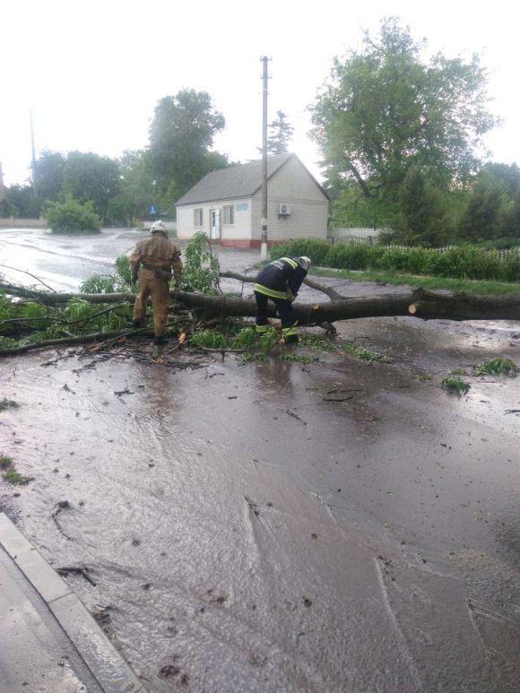 У Чечельнику негода повалила на дорогу дерево. Рух був обмежений, фото №1 на сайті 20minut.ua
